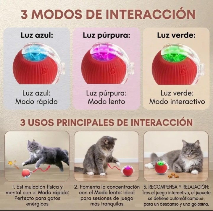 Envío rápido
